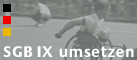 Grafiklink: SGB IX umsetzen