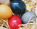 Ostereier im Nest