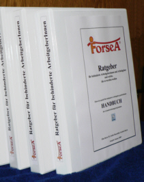 Ratgeber-Ringbuch